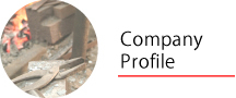 Company Profile